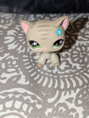 Lps 483 shorthair grey - shorthair,
